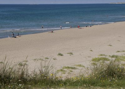 The beach
