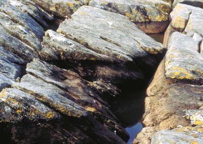 fissures and cracks
