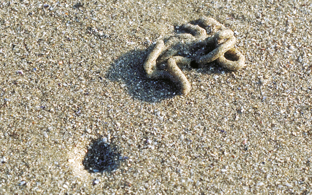 02forstranden-2