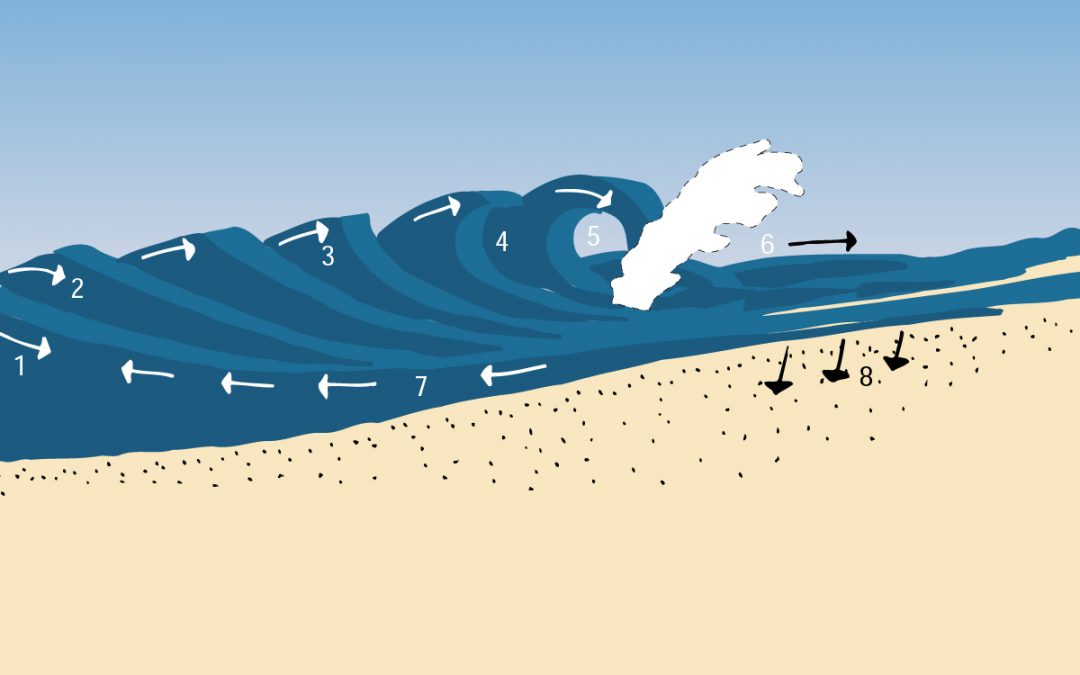 What is a wave?
