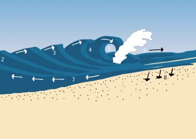 What is a wave?