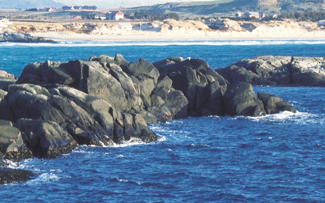 Amfibolitt