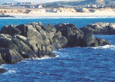 Amphibolites