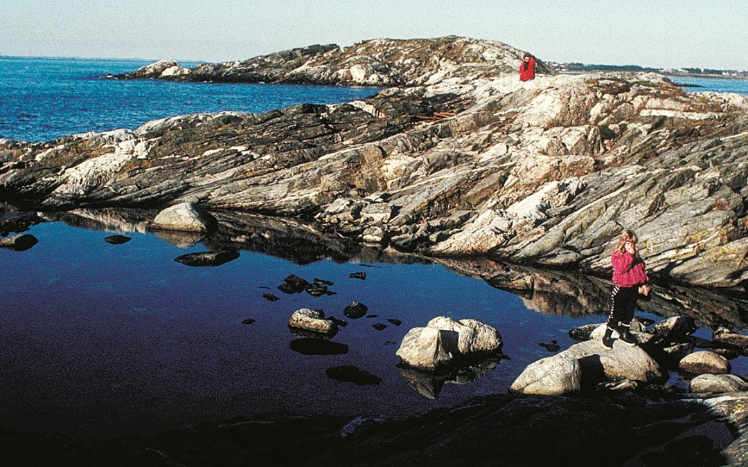 Kvartsdioritt, granodioritt og granitt