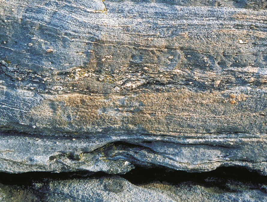 06bergstrand-23
