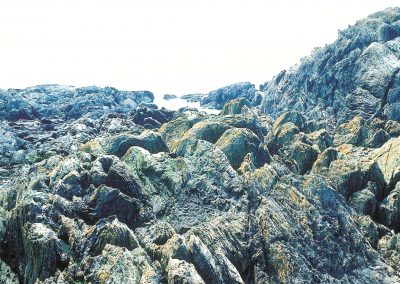 Greenstones and greenschists