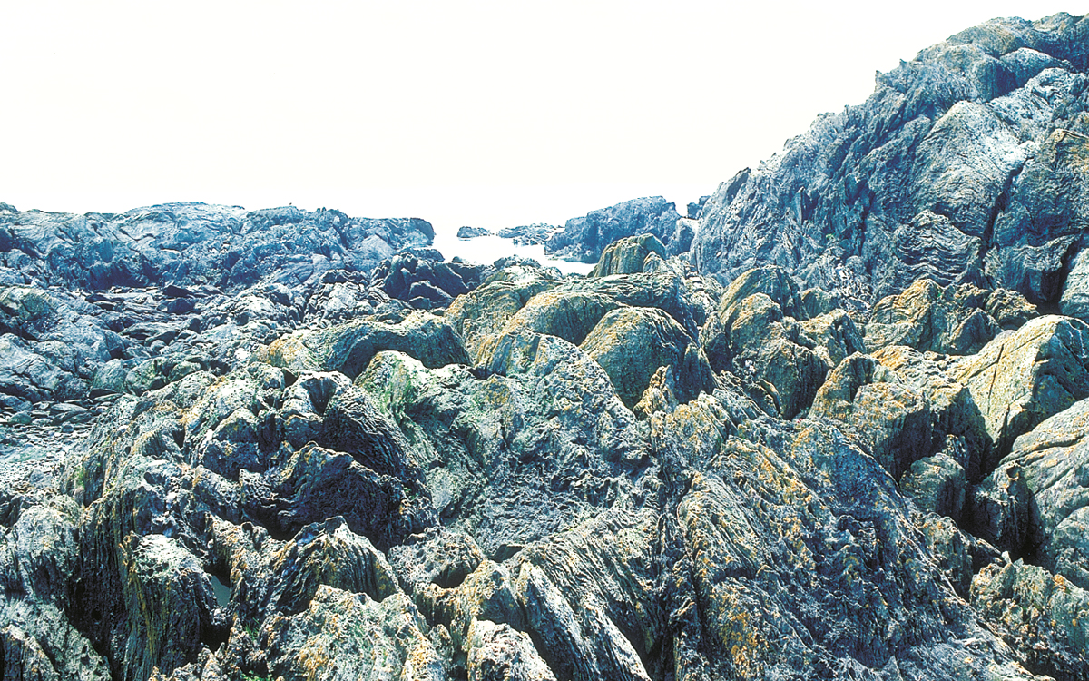 08bergstrand-2