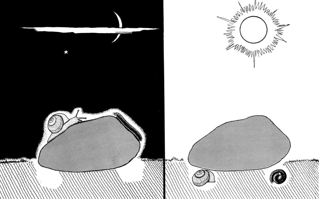 Spesialisering – tørke 7