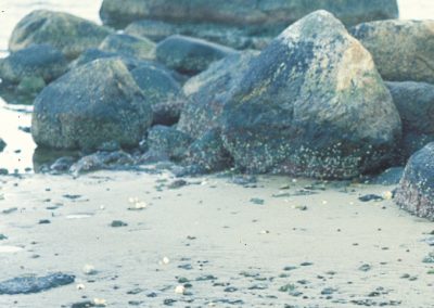 Sand and finer sediments