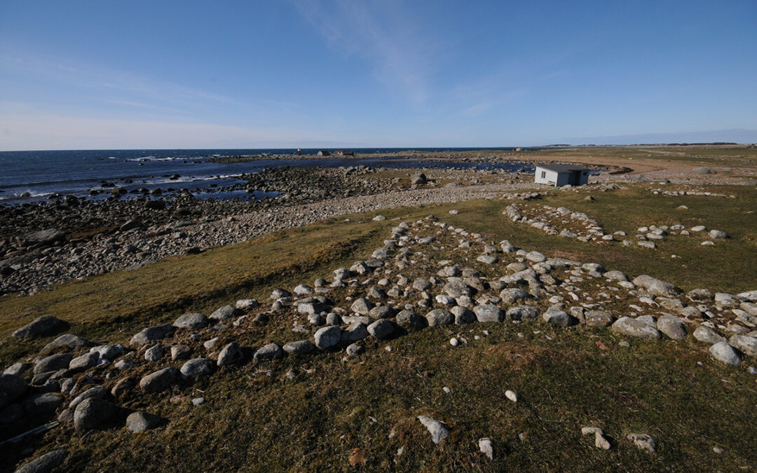 10DSC_9657