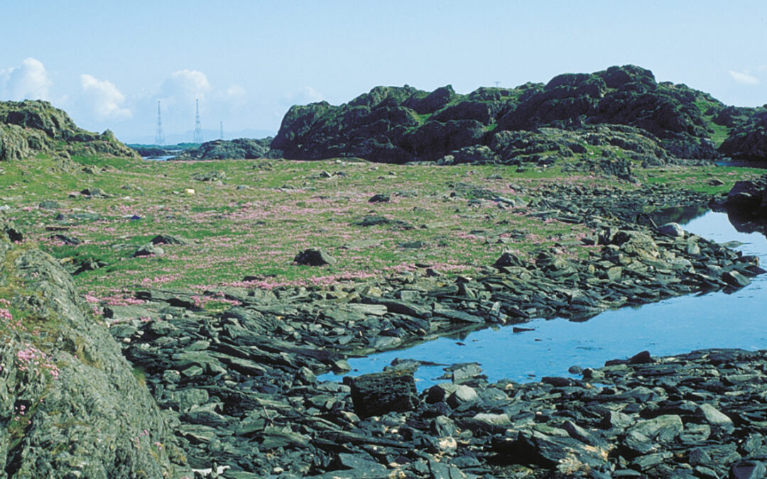 13bergstrand-4
